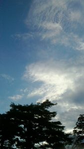 2017年空