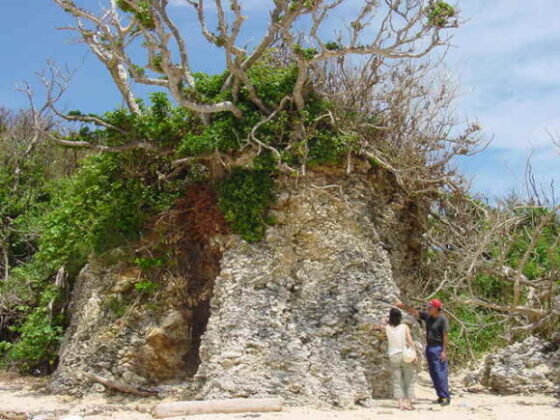 アマウナハーブ