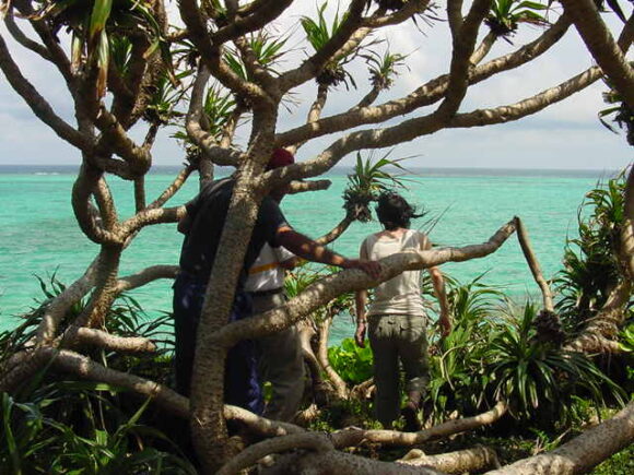 カギンミから見た海