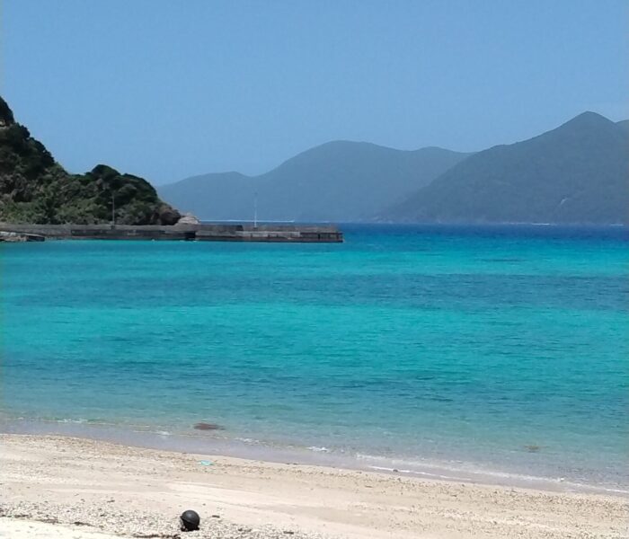 加計呂麻島の実久ブルー