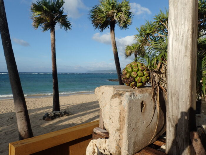 奄美大島レストランのビーチ