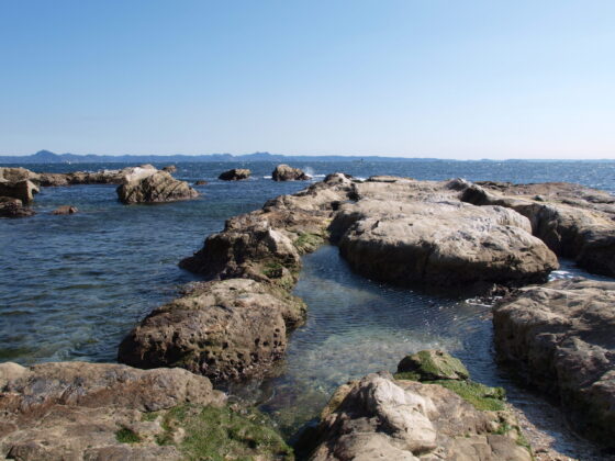 三浦半島の海