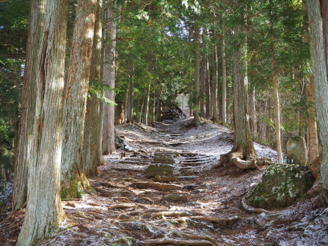 日輪神社参道20241220