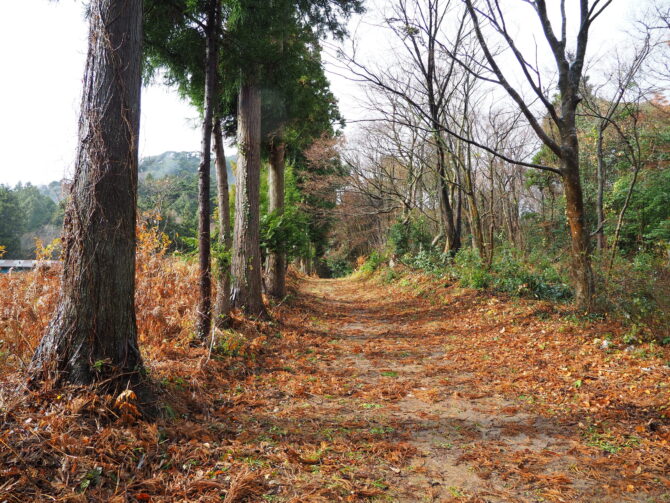 奥宮に続く道２０２４．１２