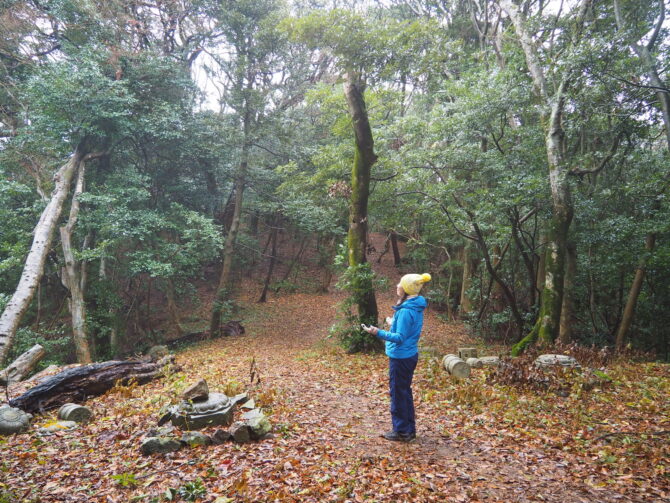 奥宮の沖にいる金龍を感じる
