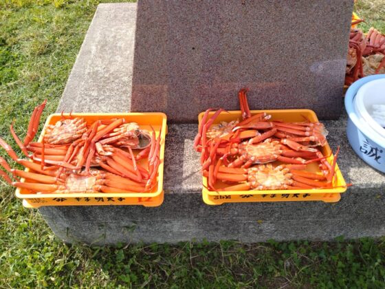 ベニズワイガニ