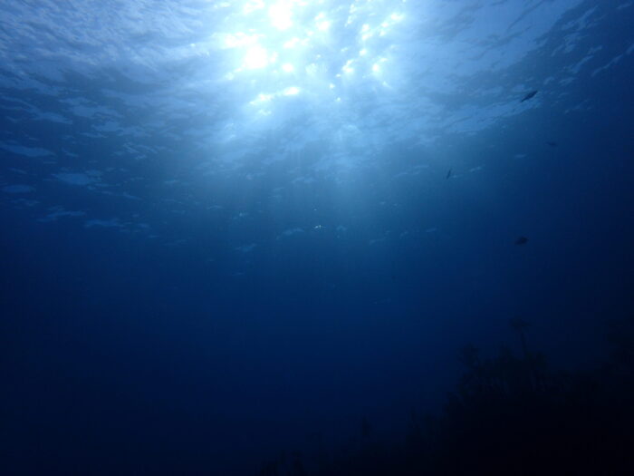 伊の暗号3 海の中