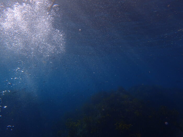 伊平屋島ダイビング気泡と光