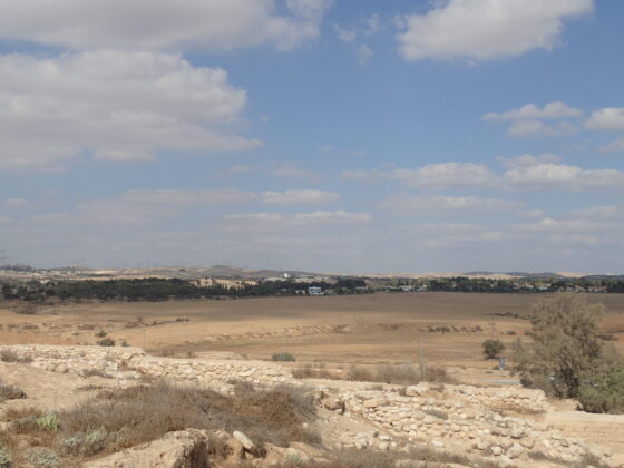 シャーマンの戯言、大転換が起きるのは2〇〇〇年。なぜいま、生きる意味を知ることが必要なのか